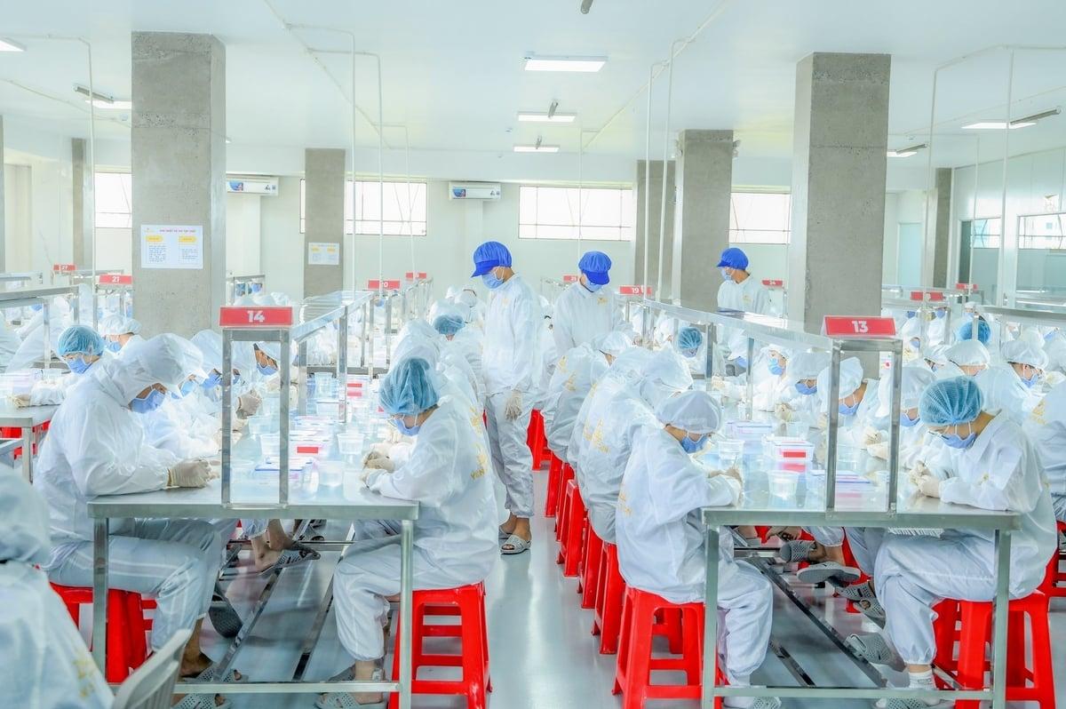 Image Nhà máy yến